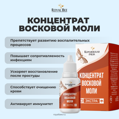 BOX "ВИЖУ ВСЁ"